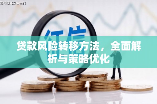 荔波贷款风险转移方法，全面解析与策略优化
