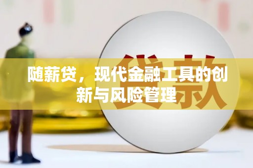荔波随薪贷，现代金融工具的创新与风险管理