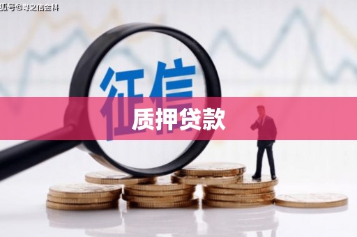 荔波质押贷款