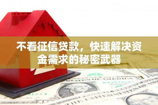 荔波不看征信贷款，快速解决资金需求的秘密武器