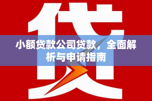 荔波小额贷款公司贷款，全面解析与申请指南
