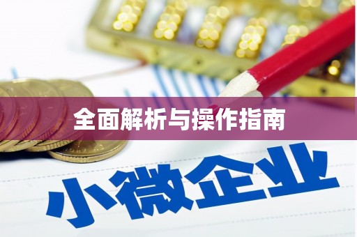 荔波全面解析与操作指南