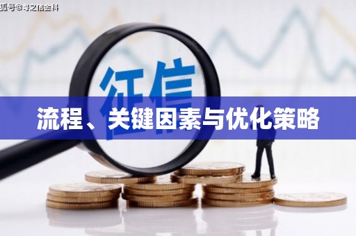 荔波流程、关键因素与优化策略