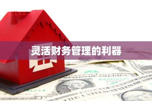 荔波灵活财务管理的利器