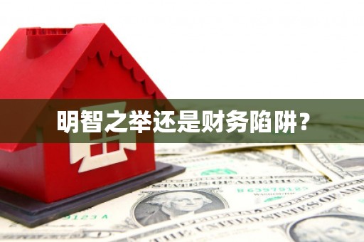 荔波明智之举还是财务陷阱？