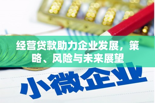 荔波经营贷款助力企业发展，策略、风险与未来展望