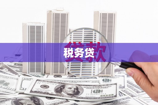 荔波税务贷
