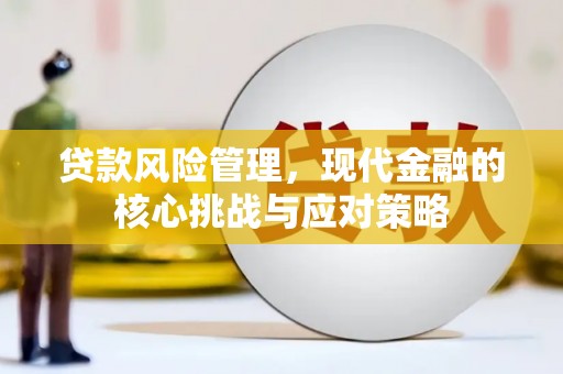 荔波贷款风险管理，现代金融的核心挑战与应对策略