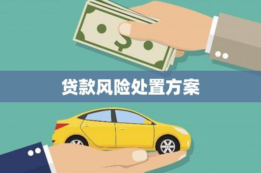 荔波贷款风险处置方案
