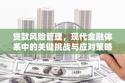 荔波贷款风险管理，现代金融体系中的关键挑战与应对策略