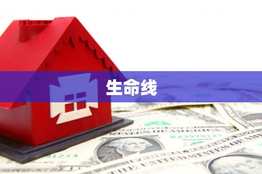 荔波生命线