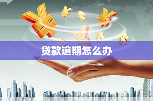 荔波贷款逾期怎么办
