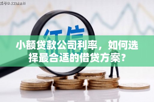 荔波小额贷款公司利率，如何选择最合适的借贷方案？