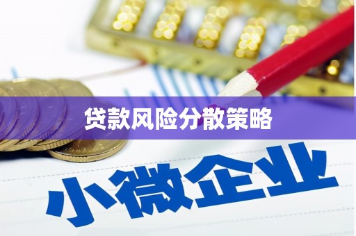荔波贷款风险分散策略