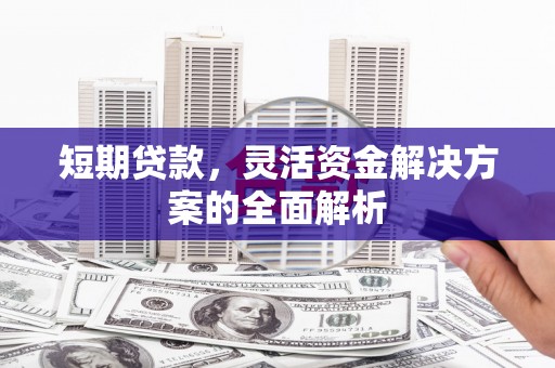 荔波短期贷款，灵活资金解决方案的全面解析