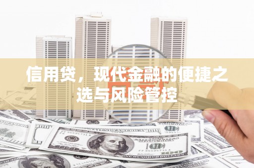 荔波信用贷，现代金融的便捷之选与风险管控