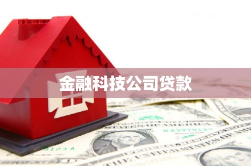 荔波金融科技公司贷款