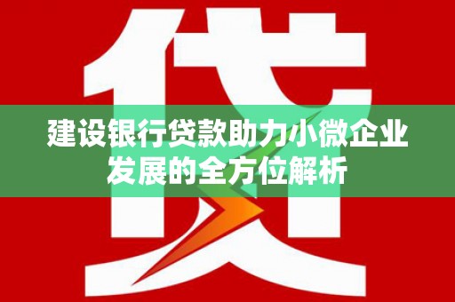 荔波建设银行贷款助力小微企业发展的全方位解析