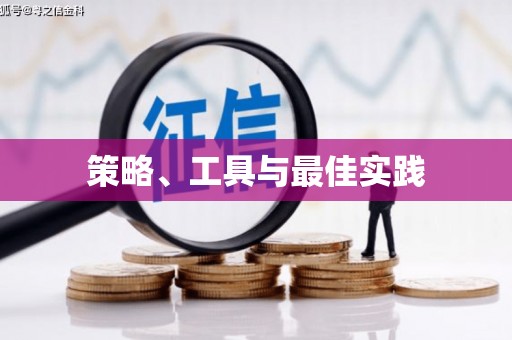 荔波策略、工具与最佳实践
