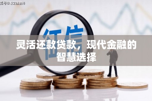 荔波灵活还款贷款，现代金融的智慧选择