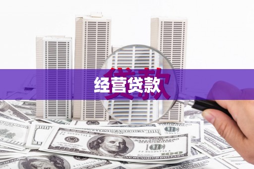 荔波经营贷款