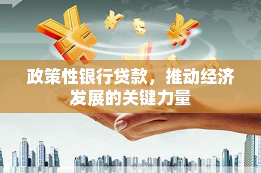 荔波政策性银行贷款，推动经济发展的关键力量