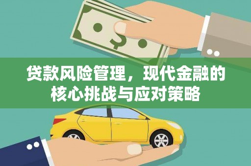 荔波贷款风险管理，现代金融的核心挑战与应对策略