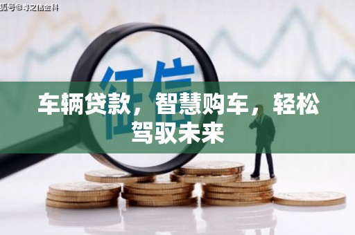 荔波车辆贷款，智慧购车，轻松驾驭未来