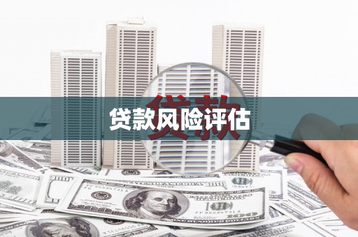 荔波贷款风险评估