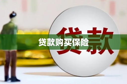 荔波贷款购买保险