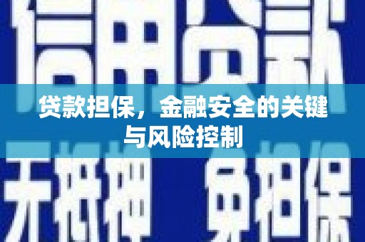 荔波贷款担保，金融安全的关键与风险控制