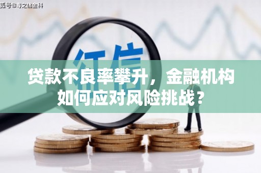 荔波贷款不良率攀升，金融机构如何应对风险挑战？
