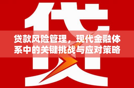 荔波贷款风险管理，现代金融体系中的关键挑战与应对策略