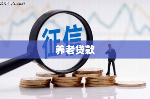 荔波养老贷款