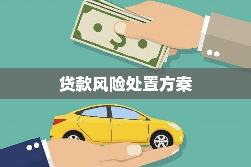 荔波贷款风险处置方案
