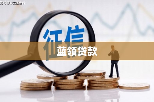 荔波蓝领贷款