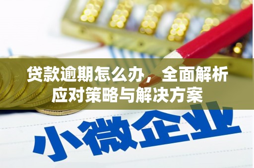 荔波贷款逾期怎么办，全面解析应对策略与解决方案