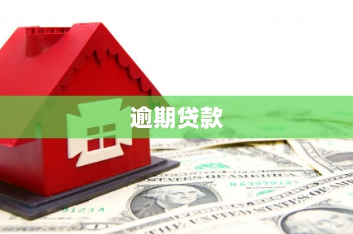 荔波逾期贷款