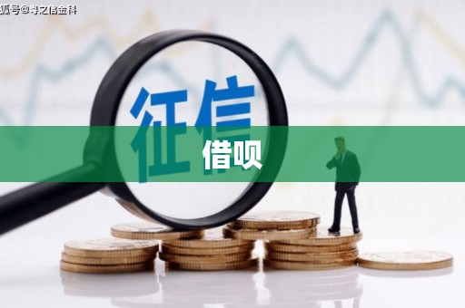 荔波借呗